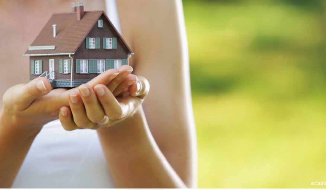 Investimento imobiliário pode superar os 1,2 mil milhões este ano