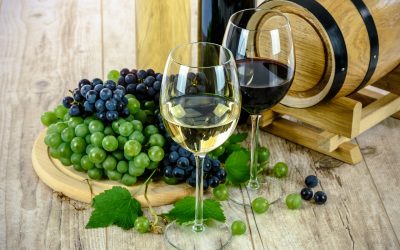 Oeiras vai ter 3 dias de prova de vinhos nacionais