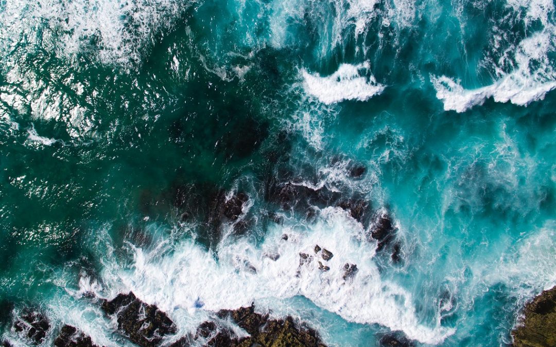 Portugal subscreve compromisso para o Oceano